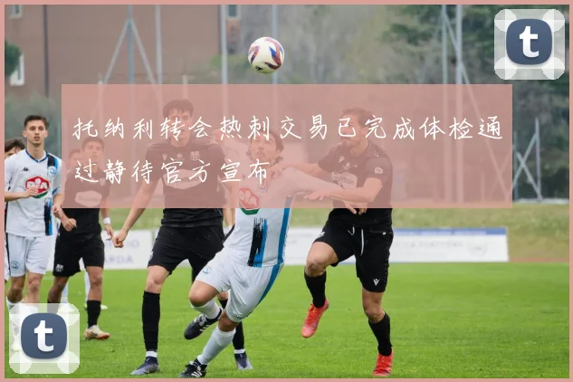 托纳利转会热刺交易已完成体检通过静待官方宣布