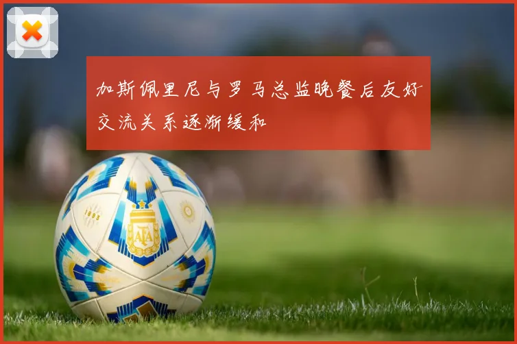 加斯佩里尼与罗马总监晚餐后友好交流关系逐渐缓和