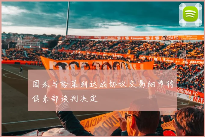国米与哈莱利达成协议交易细节待俱乐部谈判决定