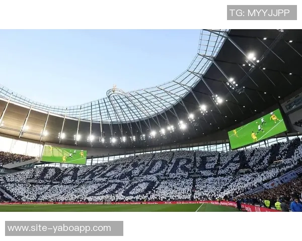 德国球迷组织警告加强球场安全措施可能引发更大规模抗议活动